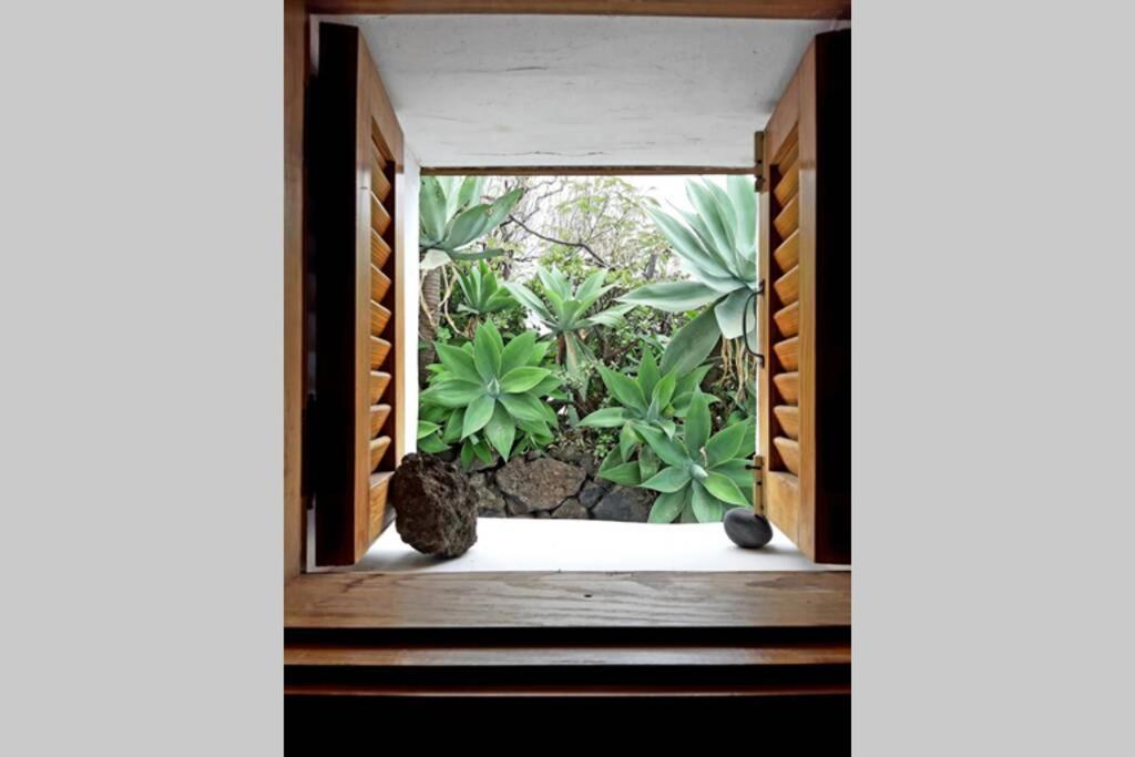 Villa Casa Agave 1 à Frontera Extérieur photo