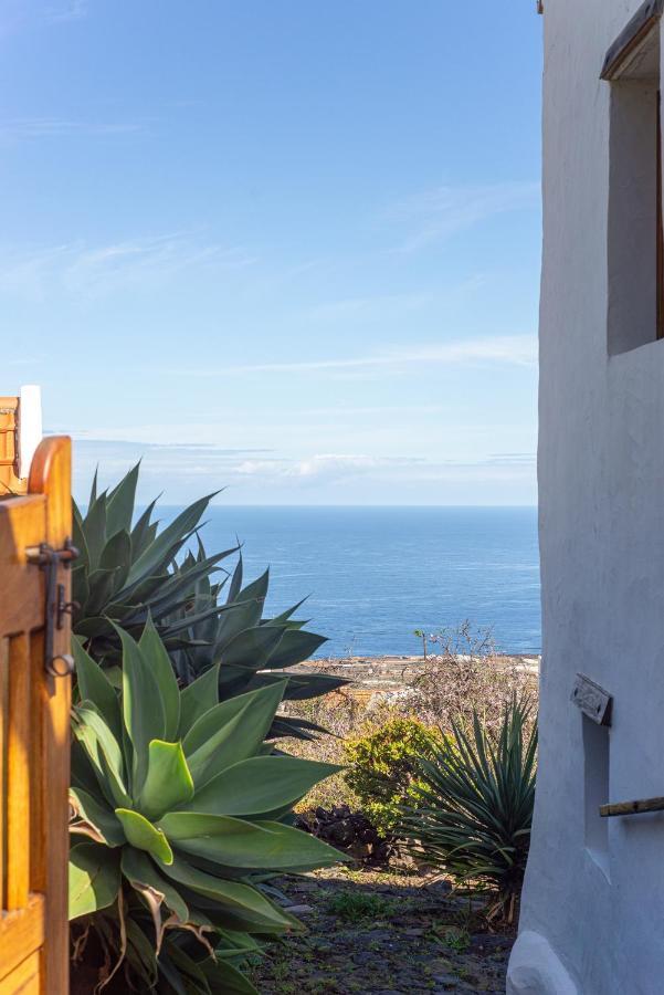 Villa Casa Agave 1 à Frontera Extérieur photo